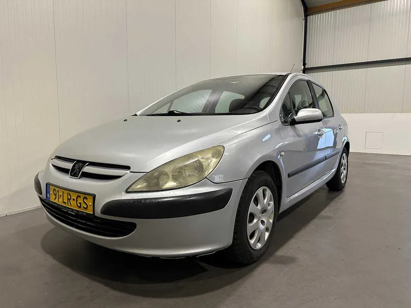 Peugeot 307 1.4 XS 2003
