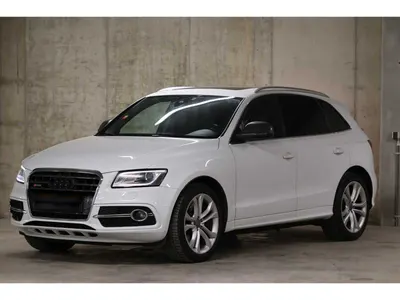 Audi SQ5 TDI 313